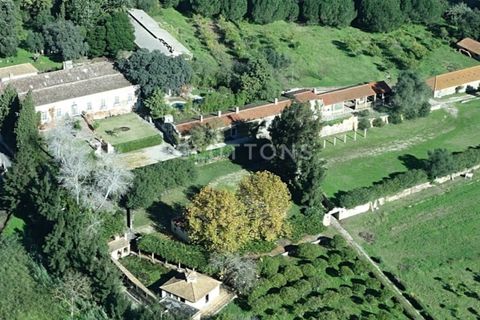 Farm i Setubal, Setubal, Setubal - € 4.200.000 | Ref: QUI2013.MVR - foto 3