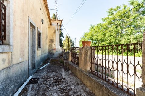 Farm i Setubal, Setubal, Setubal - € 4.200.000 | Ref: QUI2013.MVR - foto 5