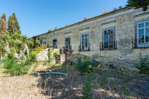 Farm i Setubal, Setubal, Setubal - € 4.200.000 | Ref: QUI2013.MVR - foto 8
