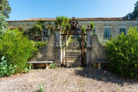 Farm i Setubal, Setubal, Setubal - € 4.200.000 | Ref: QUI2013.MVR - foto 9