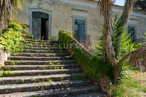 Farm i Setubal, Setubal, Setubal - € 4.200.000 | Ref: QUI2013.MVR - foto 10