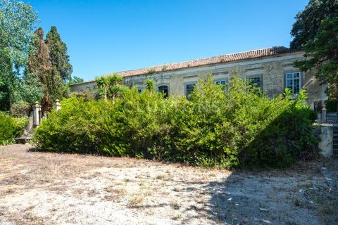 Farm i Setubal, Setubal, Setubal - € 4.200.000 | Ref: QUI2013.MVR - foto 11