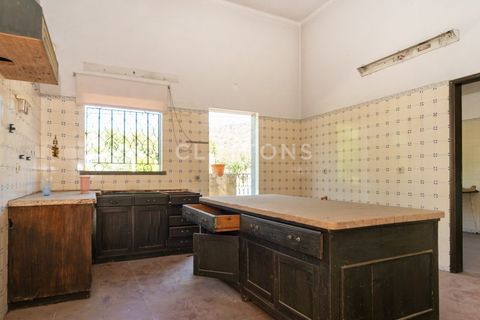 Farm i Setubal, Setubal, Setubal - € 4.200.000 | Ref: QUI2013.MVR - foto 18