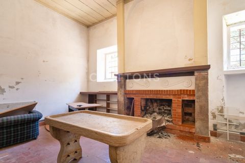 Farm i Setubal, Setubal, Setubal - € 4.200.000 | Ref: QUI2013.MVR - foto 19