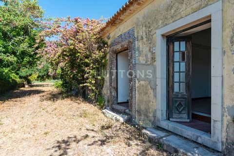 Farm i Setubal, Setubal, Setubal - € 4.200.000 | Ref: QUI2013.MVR - foto 20
