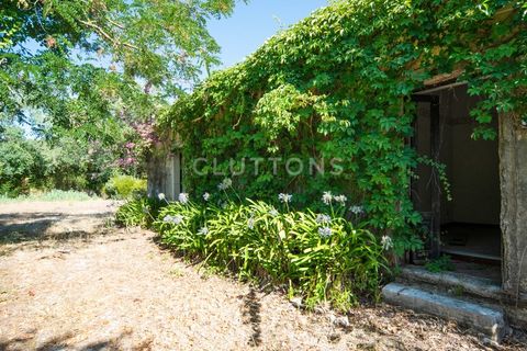 Farm i Setubal, Setubal, Setubal - € 4.200.000 | Ref: QUI2013.MVR - foto 21