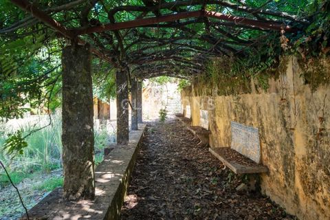 Farm i Setubal, Setubal, Setubal - € 4.200.000 | Ref: QUI2013.MVR - foto 27