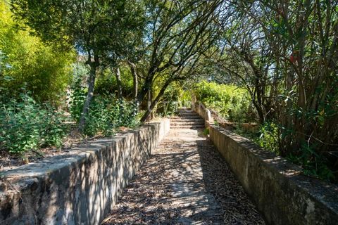 Farm i Setubal, Setubal, Setubal - € 4.200.000 | Ref: QUI2013.MVR - foto 28