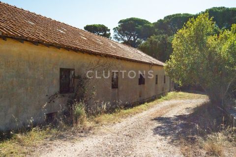 Farm i Setubal, Setubal, Setubal - € 4.200.000 | Ref: QUI2013.MVR - foto 29