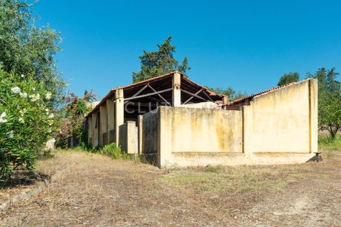Farm i Setubal, Setubal, Setubal - € 4.200.000 | Ref: QUI2013.MVR - foto 30