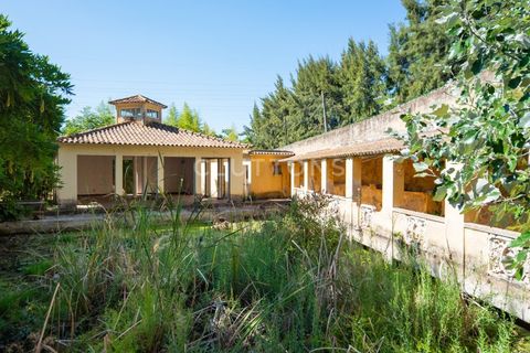 Farm i Setubal, Setubal, Setubal - € 4.200.000 | Ref: QUI2013.MVR - foto 32