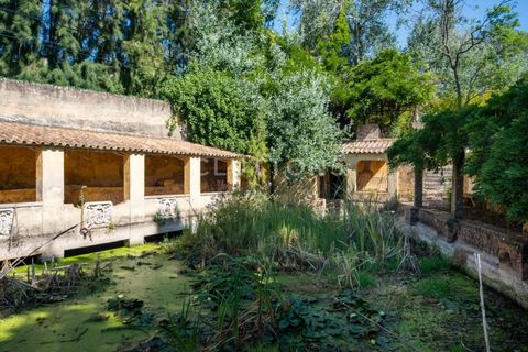 Farm i Setubal, Setubal, Setubal - € 4.200.000 | Ref: QUI2013.MVR - foto 33