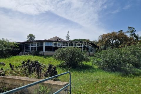 Farm i Setubal, Setubal, Setubal - € 4.200.000 | Ref: QUI2013.MVR - foto 34