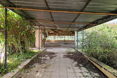Farm i Setubal, Setubal, Setubal - € 4.200.000 | Ref: QUI2013.MVR - foto 35