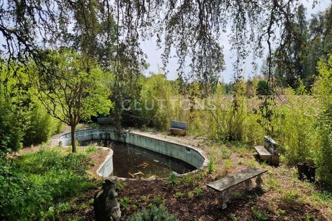 Farm i Setubal, Setubal, Setubal - € 4.200.000 | Ref: QUI2013.MVR - foto 38