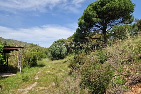 Farm i Setubal, Setubal, Setubal - € 4.200.000 | Ref: QUI2013.MVR - foto 39