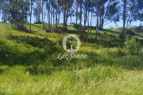 Terra a Lousada, Porto, Lousada - € 185.000 | Ref: 243-T-00799 - foto 4