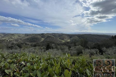 Villa i Palaia, Pisa, Palaia - € 1.050.000 | Ref: v61323-x - foto 8
