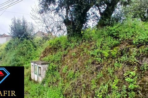 Erhvervsejendom i Tomar, Santarem, Tomar - € 78.690 | Ref: HD020 - foto 2