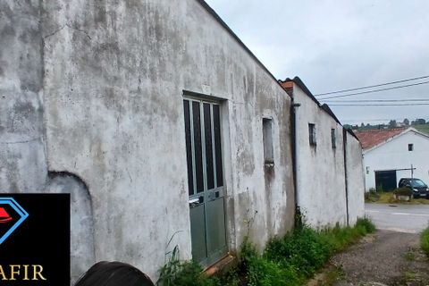 Erhvervsejendom i Tomar, Santarem, Tomar - € 78.690 | Ref: HD020 - foto 29
