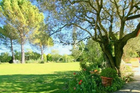 Villa i Caromb, Vaucluse, Caromb - € 725.000 | Ref: 4176VM - foto 23