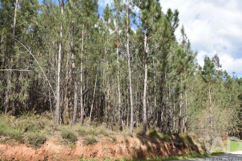 Terra a Ourem, Santarem, Ourem - € 7.500 | Ref: 140767 - foto 2