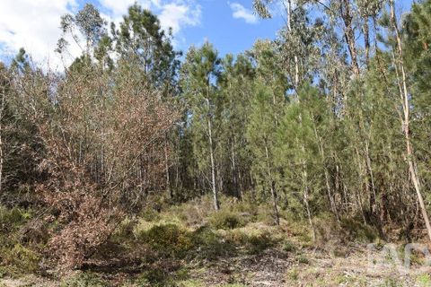 Terra a Ourem, Santarem, Ourem - € 7.500 | Ref: 140767 - foto 3