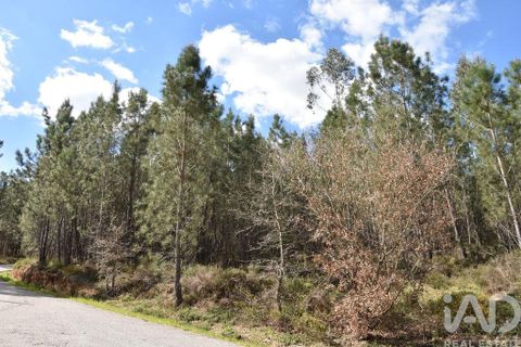 Terra a Ourem, Santarem, Ourem - € 7.500 | Ref: 140767 - foto 4
