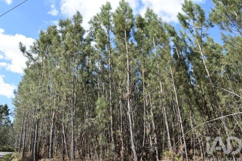 Terra a Ourem, Santarem, Ourem - € 7.500 | Ref: 140767 - foto 7