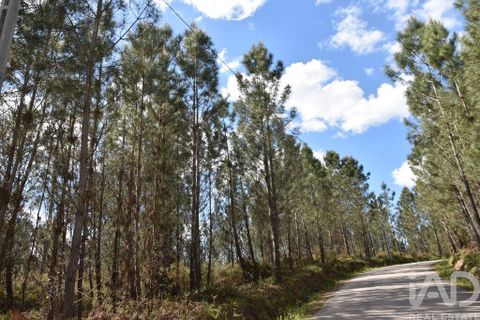Terra a Ourem, Santarem, Ourem - € 7.500 | Ref: 140767 - foto 8