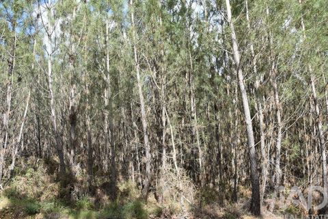 Terra a Ourem, Santarem, Ourem - € 7.500 | Ref: 140767 - foto 10