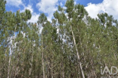 Terra a Ourem, Santarem, Ourem - € 7.500 | Ref: 140767 - foto 11