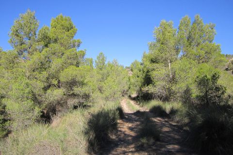 Helårsgrund i Yecla, Murcia, Yecla - € 24.000 | Ref: 41050-PB - foto 4