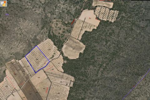 Helårsgrund i Yecla, Murcia, Yecla - € 24.000 | Ref: 41050-PB - foto 6