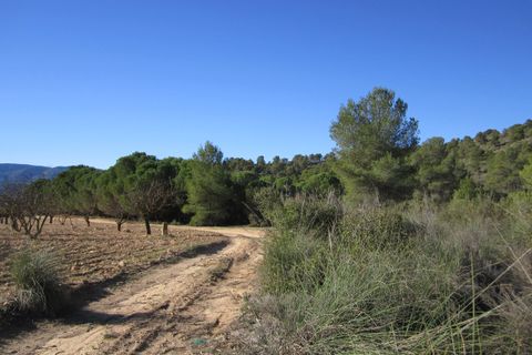 Helårsgrund i Yecla, Murcia, Yecla - € 12.000 | Ref: 41049-PB - foto 4