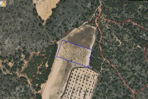 Helårsgrund i Yecla, Murcia, Yecla - € 12.000 | Ref: 41049-PB - foto 7