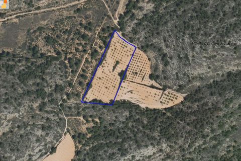Terra a Yecla, Murcia, Yecla - € 14.000 | Ref: 41048-PB - foto 2
