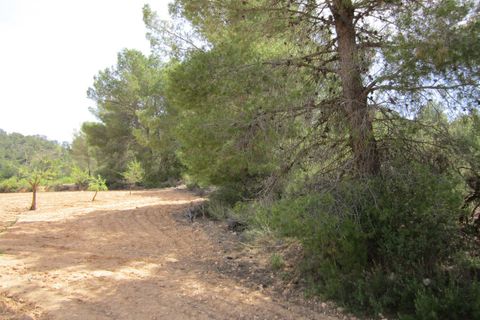 Terra a Yecla, Murcia, Yecla - € 14.000 | Ref: 41048-PB - foto 5