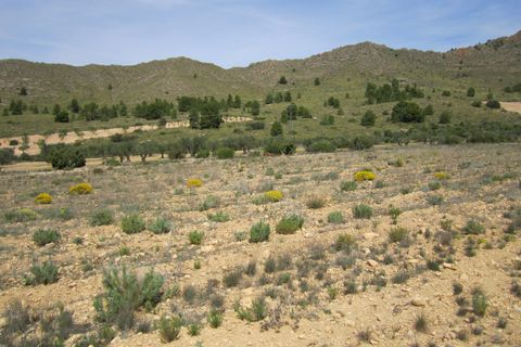 Helårsgrund i Yecla, Murcia, Yecla - € 12.000 | Ref: 41047-PB - foto 1