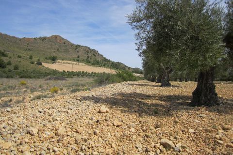 Helårsgrund i Yecla, Murcia, Yecla - € 12.000 | Ref: 41047-PB - foto 2