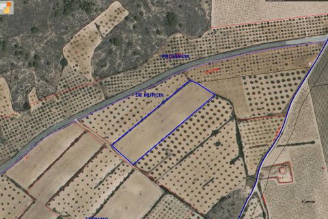 Helårsgrund i Yecla, Murcia, Yecla - € 12.000 | Ref: 41047-PB - foto 3