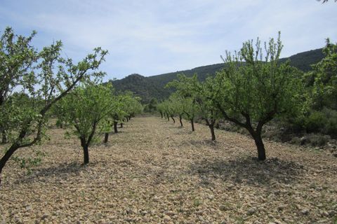 Helårsgrund i Yecla, Murcia, Yecla - € 15.000 | Ref: 41046-PB - foto 6