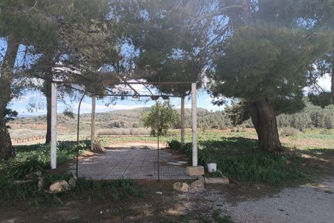 Landejendom i Yecla, Murcia, Yecla - € 79.000 | Ref: 41045-PB - foto 3