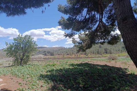 Landejendom i Yecla, Murcia, Yecla - € 79.000 | Ref: 41045-PB - foto 18
