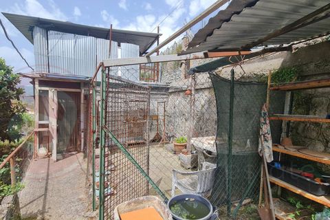 Landejendom i Esperia, Frosinone, Esperia - € 78.000 | Ref: AC99-149-1613 - foto 29