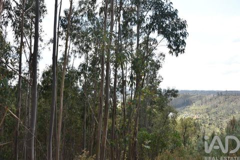 Helårsgrund i Ourem, Santarem, Ourem - € 9.900 | Ref: 140766 - foto 2
