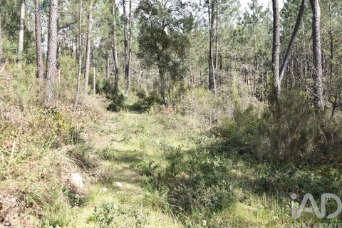 Helårsgrund i Ourem, Santarem, Ourem - € 9.900 | Ref: 140766 - foto 1