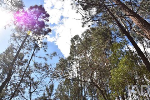 Helårsgrund i Ourem, Santarem, Ourem - € 9.900 | Ref: 140766 - foto 4