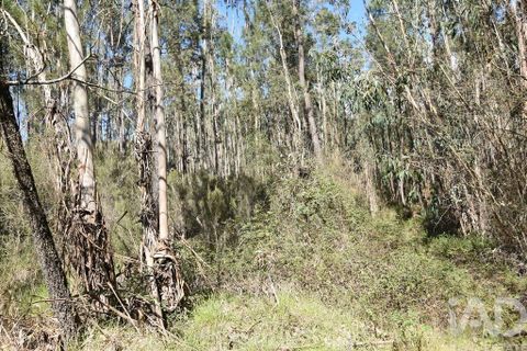 Helårsgrund i Ourem, Santarem, Ourem - € 9.900 | Ref: 140766 - foto 9