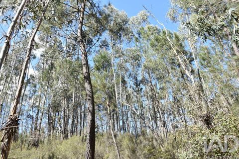 Helårsgrund i Ourem, Santarem, Ourem - € 9.900 | Ref: 140766 - foto 10
